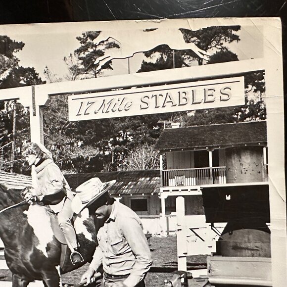 Vintage 1961 Susan Slade Movie Still Connie Stevens 17 Mile Stables Horse Photo - Picture 7 of 14